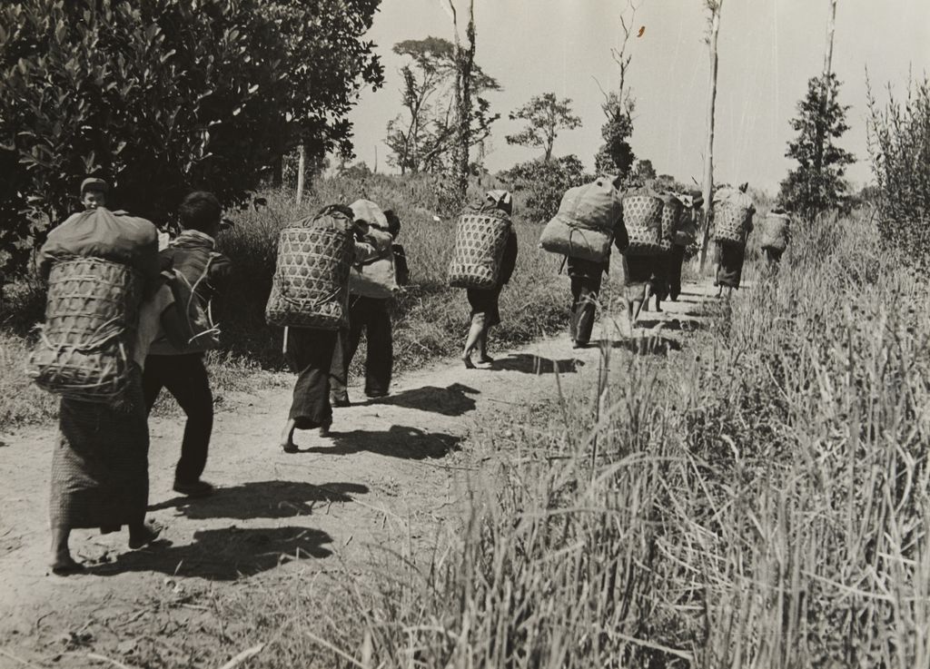 ປະ​ຊາ​ຊົນ​ເກັບ​ກ່ຽວ​ຜົນ​ຜະ​ລິດ