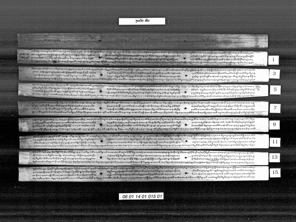 ຈຸລວັຄ ( ສັພ )