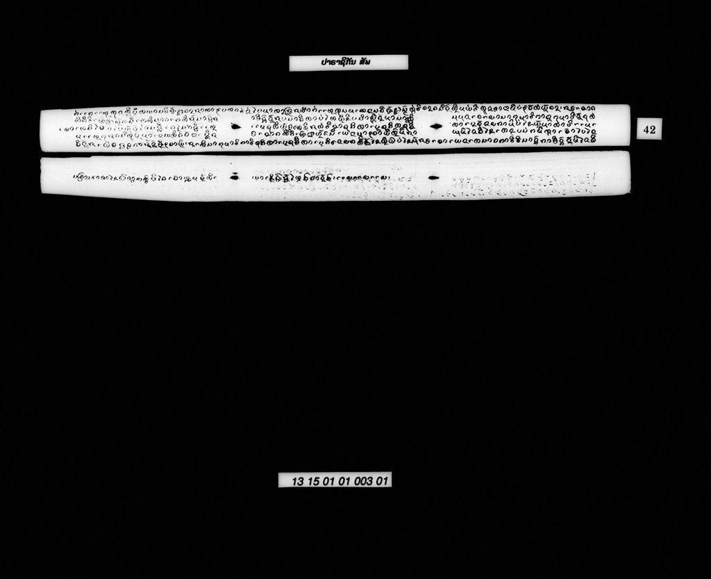 ປາຣາຊິກັນ (ສັພ)