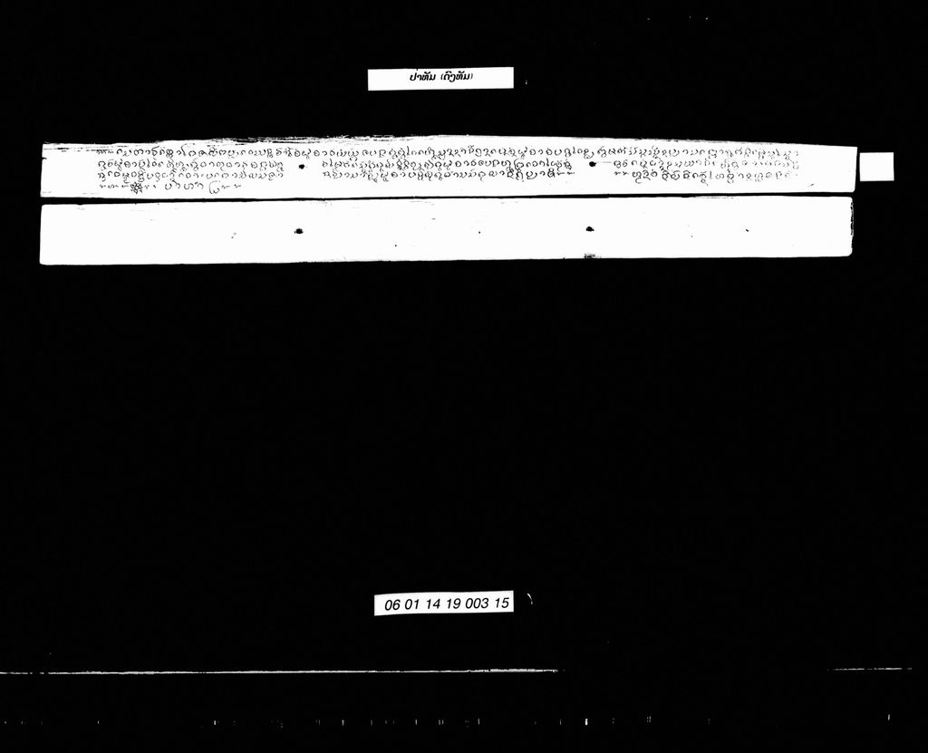 ປ່າທັມ (ດົງທັມ)