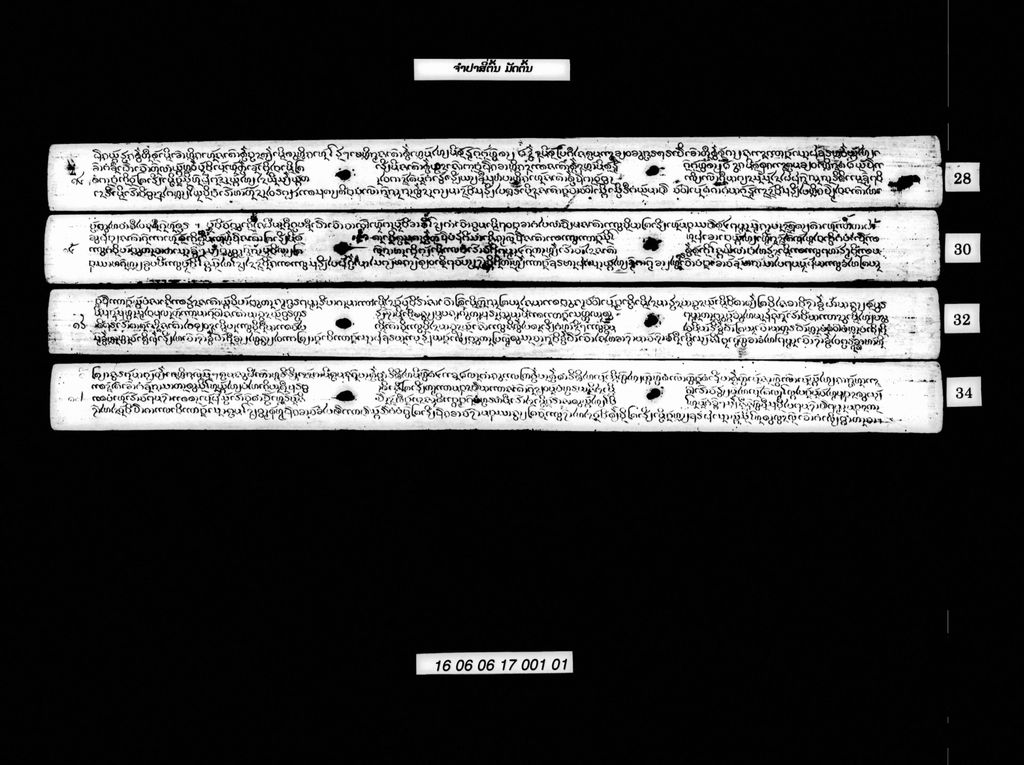 ຈຳປາສີ່ຕົ້ນ (ມັດຕົ້ນ)