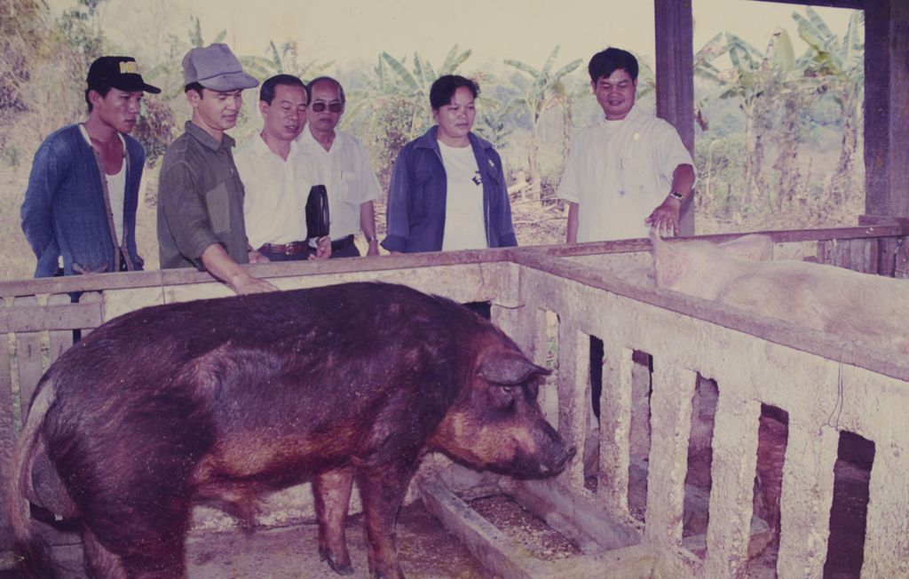 ການ​ລ້ຽງ​ສັດ