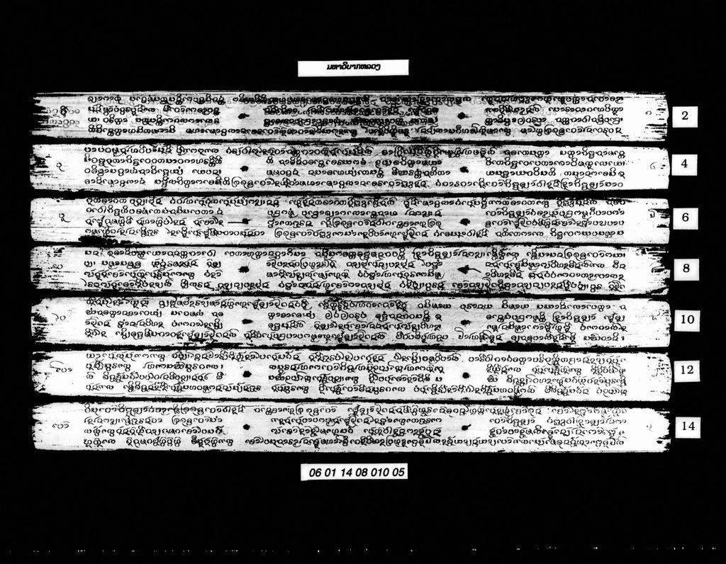 ມຫາວິບາກຫລວງ