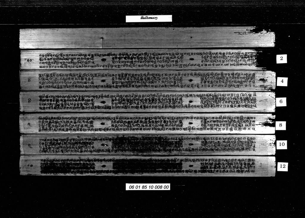 ທິພມົນຫລວງ