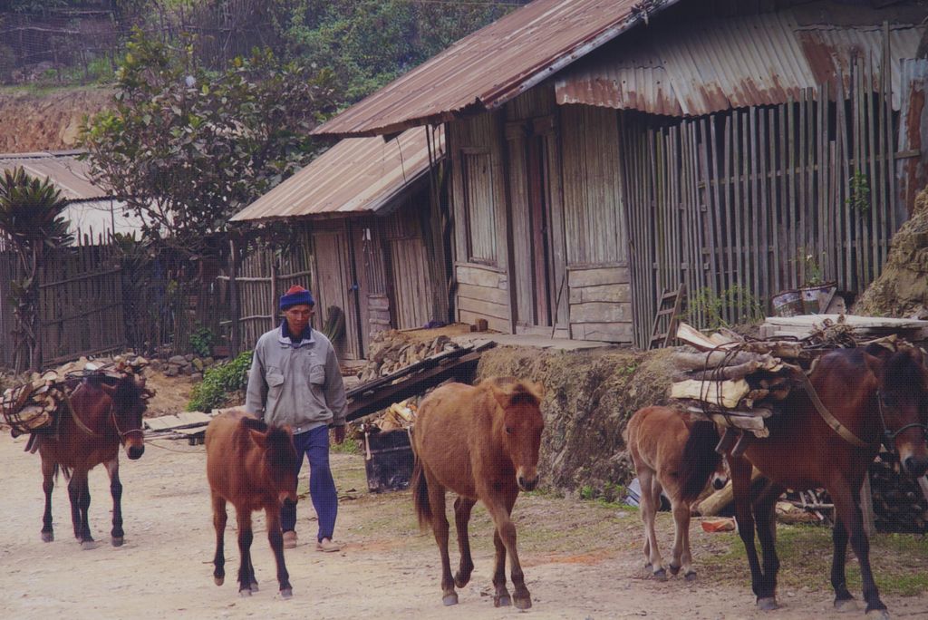 ພໍ່​ເຖົ​້າ