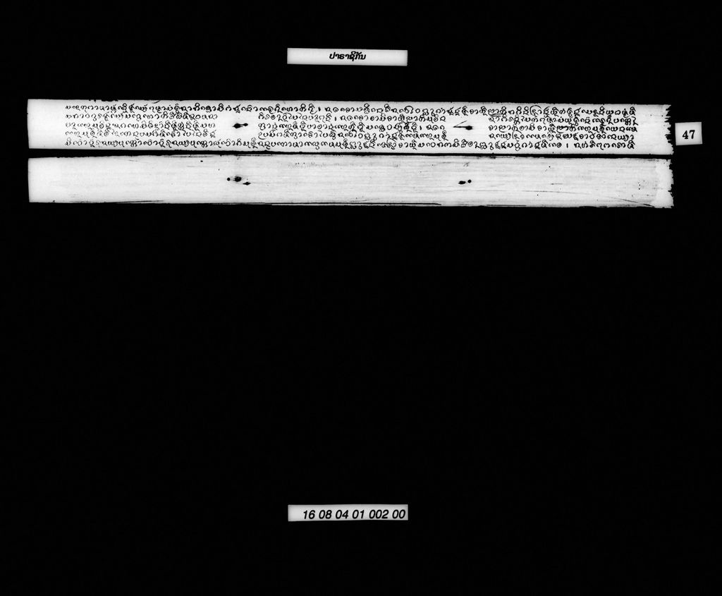 ປາຣາຊິກັນ (ສັພ)