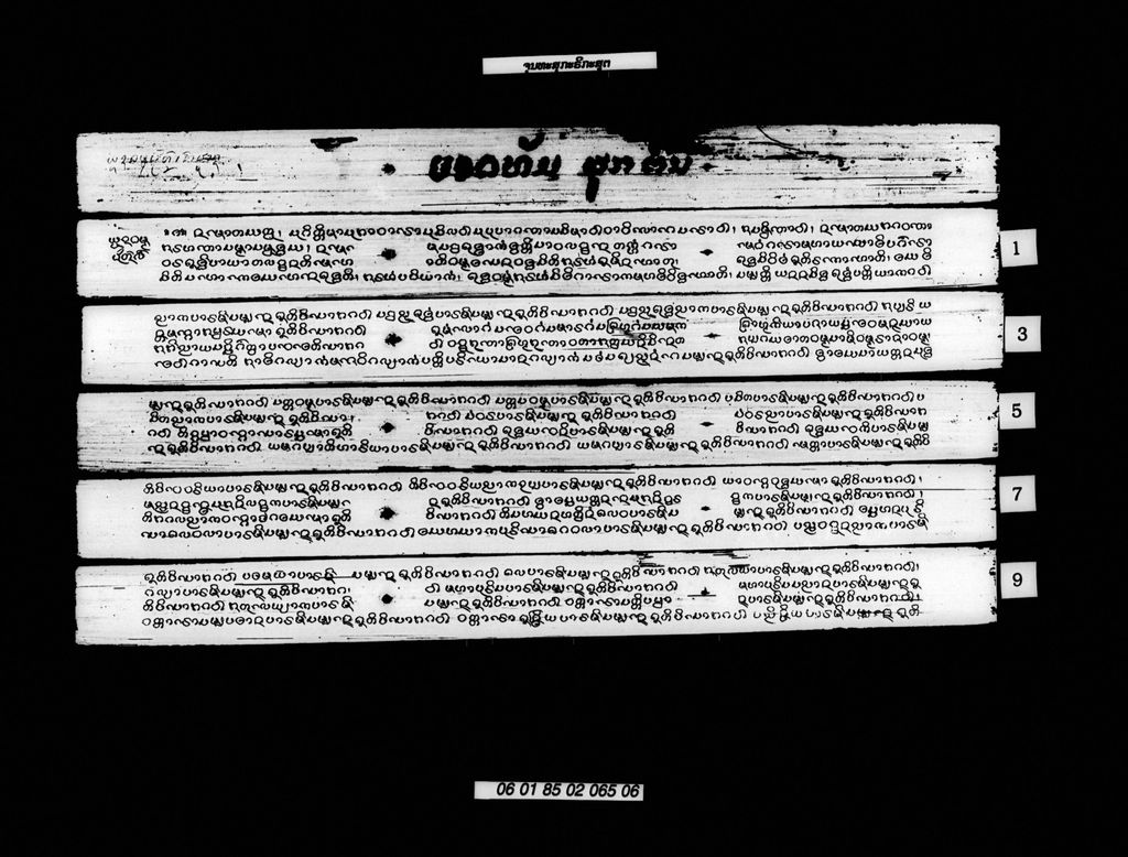 ຈຸນທະສຸກະຣິກະສູຕ