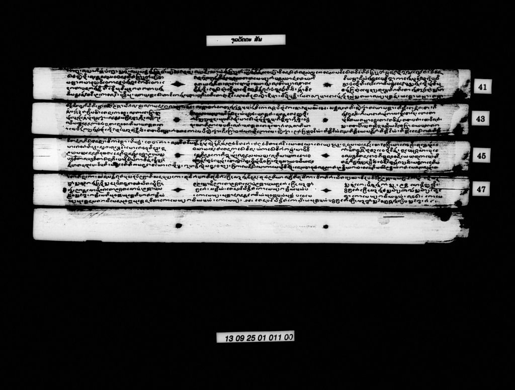 ຈຸລວັຄຄະ (ສັພ)