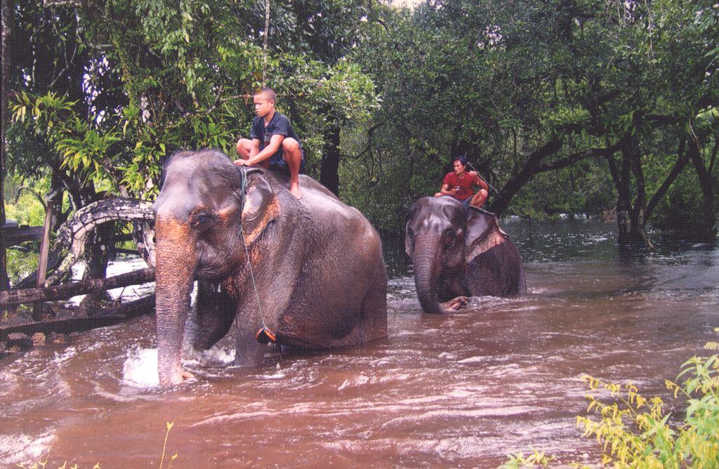 ຄວນຊ້າງ ເມືອງປາກເຊ ແຂວງຂຳປາສັກ