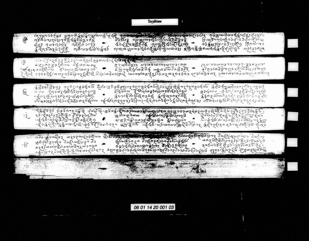 ໂຄງອັກຂະ