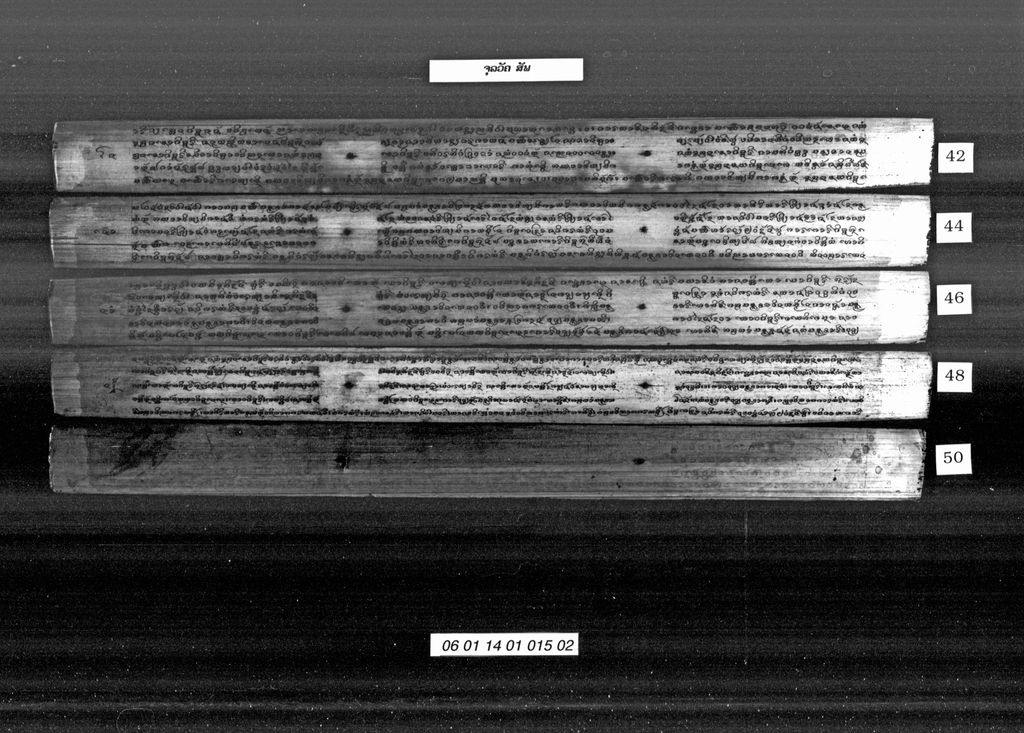 ຈຸລວັຄ ( ສັພ )