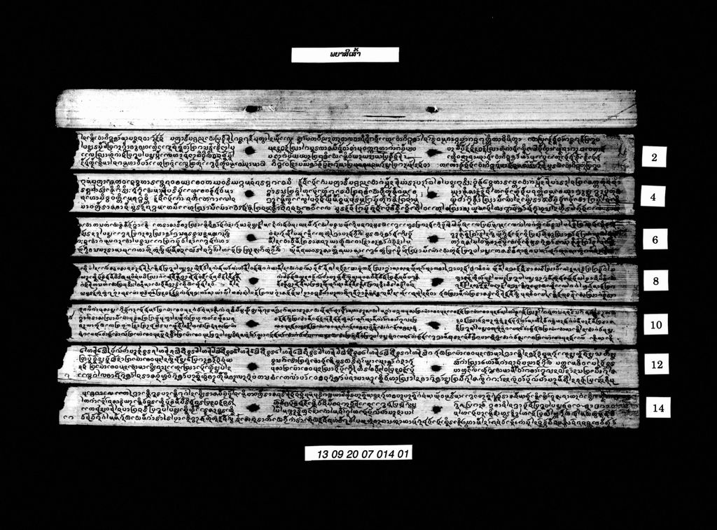 ພຍາສີເສົ້າ