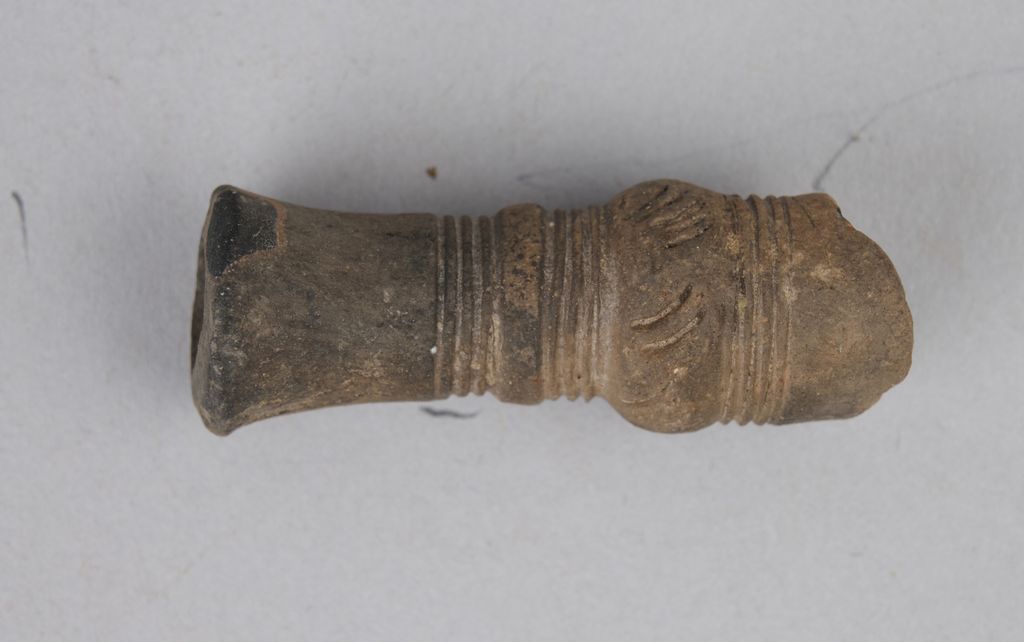 ກ້ານກອກຢາສູບ