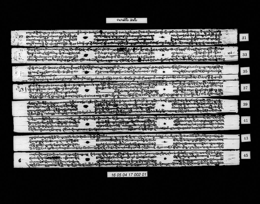 ຈຳປາສີ່ຕົ້ນ (ມັດຕົ້ນ)