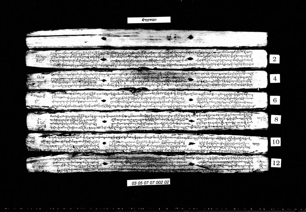 ຊ້າງງາດຽວ