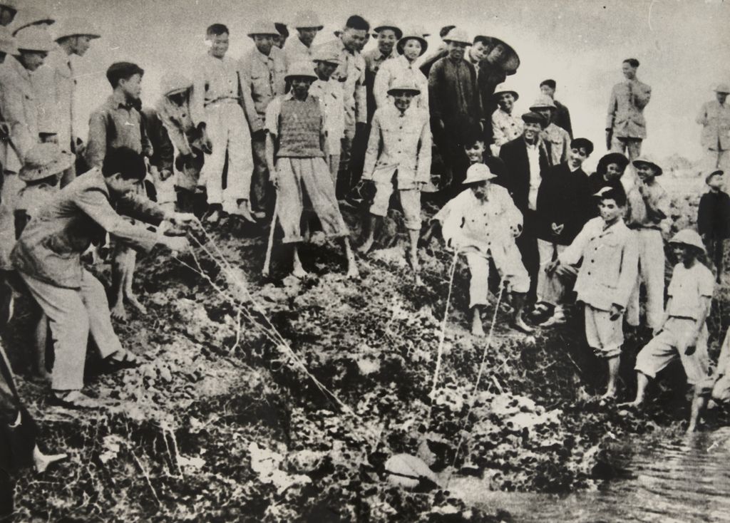 ປີ 1955 ປະ​ທານ ໂຮ​ຈິ​ມິນ ພ້ອມ​ກັບ​ຊາວ​ນາ ຕັກ​ນ້ຳ​ໃສ່​ເຂົ້າ​ນາ ຢູ່​ທົ່​ງ​ນາກວາງ​ຕໍ້ ປີ 1955