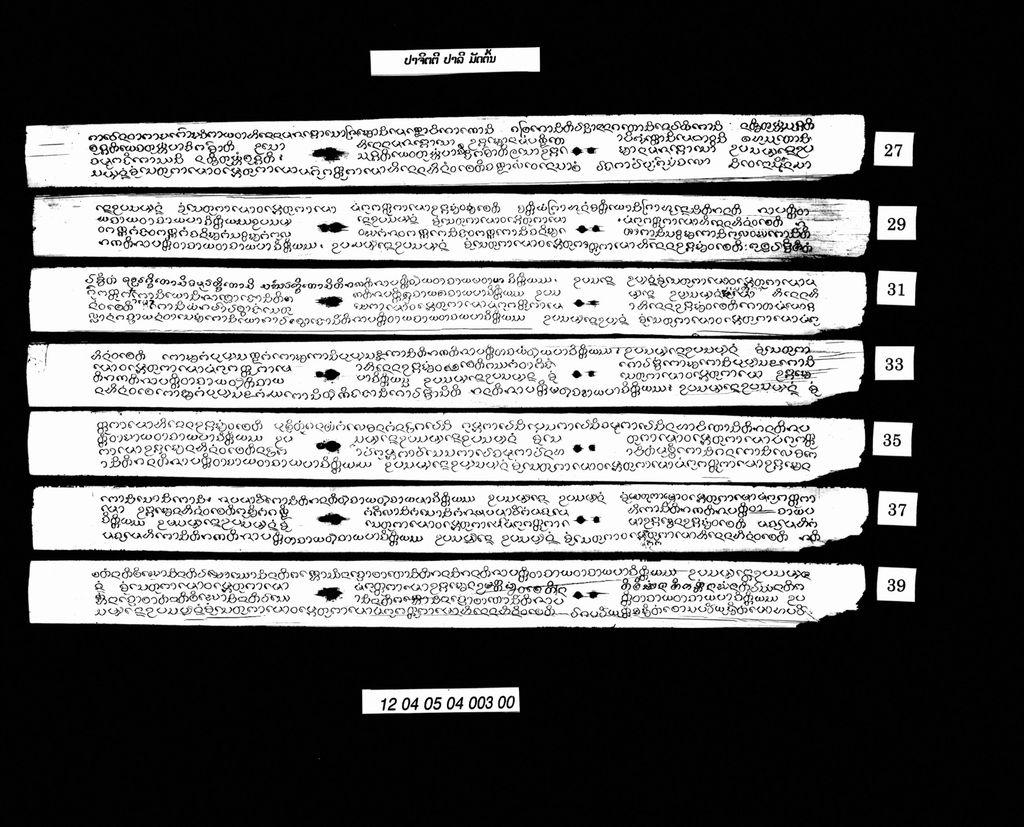 ປາຈິດຕີ (ປາລີ) ມັດຕົ້ນ