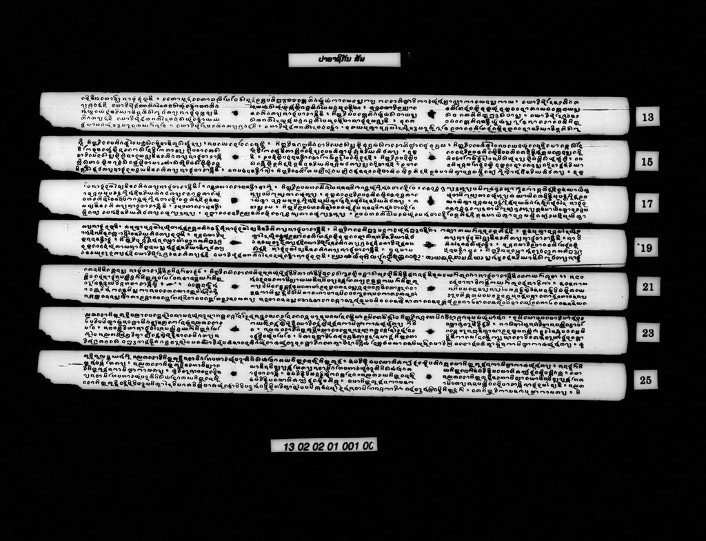 ປາຣາຊິກັນ (ສັພ)