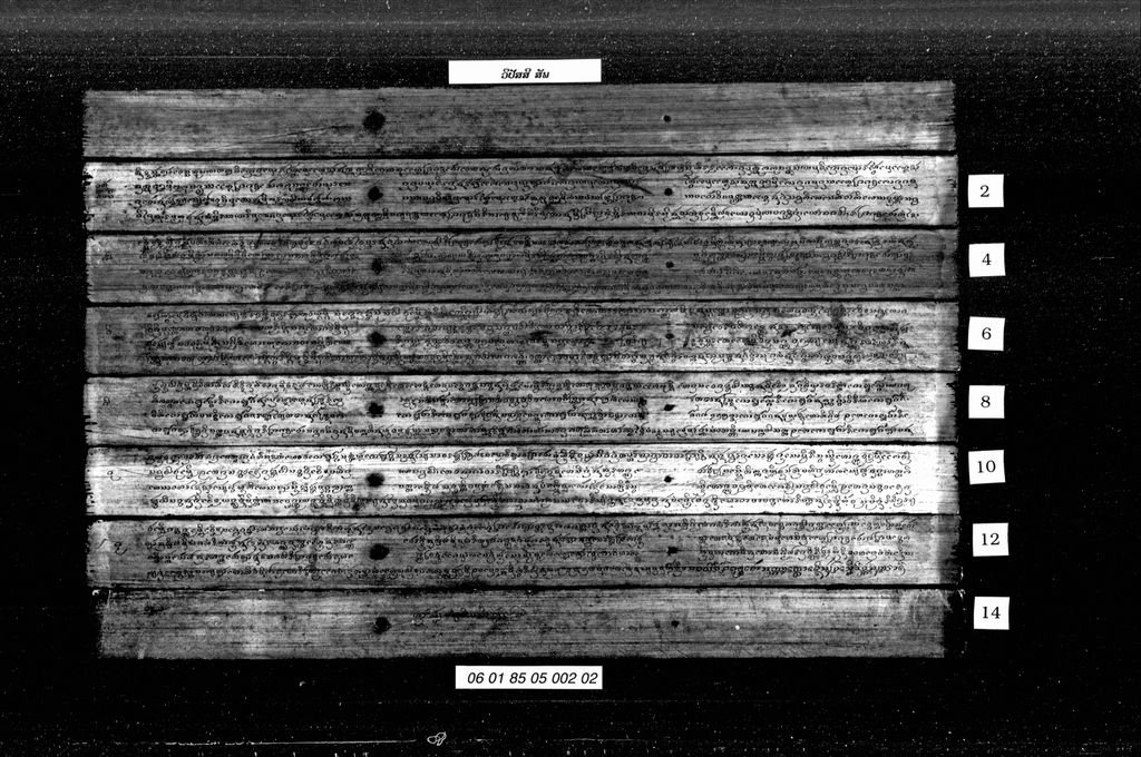 ວິປັສສິ ( ສັພ )