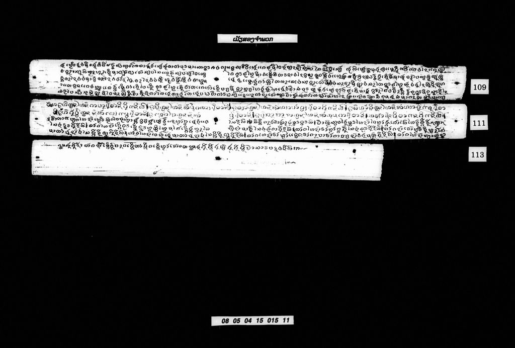 ເມັຽສອງຈຳພວກ