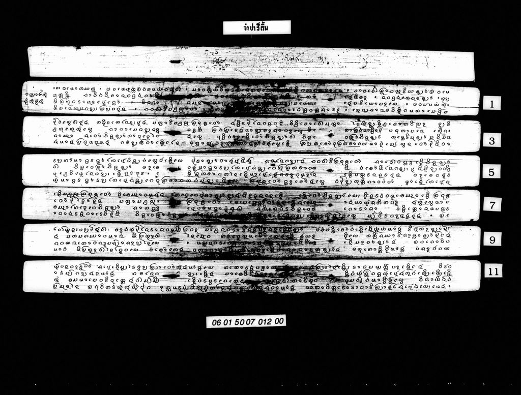 ຈຳປາສີ່ຕົ້ນ (ມັດຕົ້ນ)