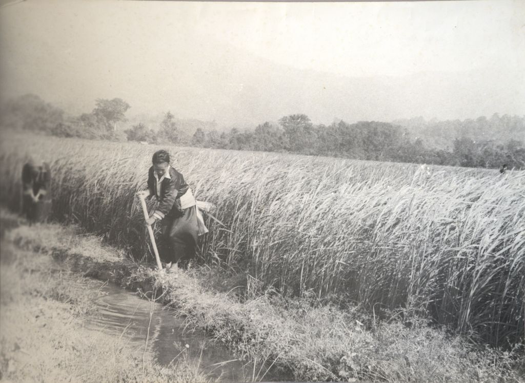 ການ​ພັດ​ທະ​ນາ​ເຂດ​ພູ​ດອຍ, ຫລັກ 20