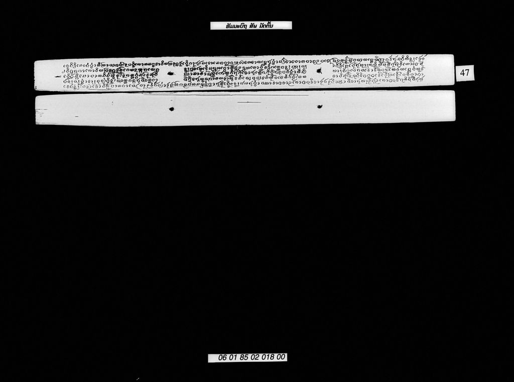 ທັມມະບົຖ ມັດຕົ້ນ(ສັພ)