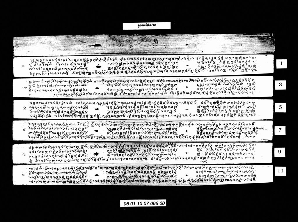 ຈຸລລະທັມປາລ