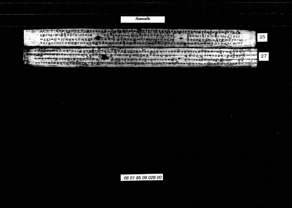 ຕົວສະເຫວີຍ