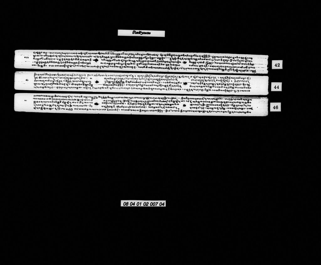 ນິໄສສັງຄະຫະ