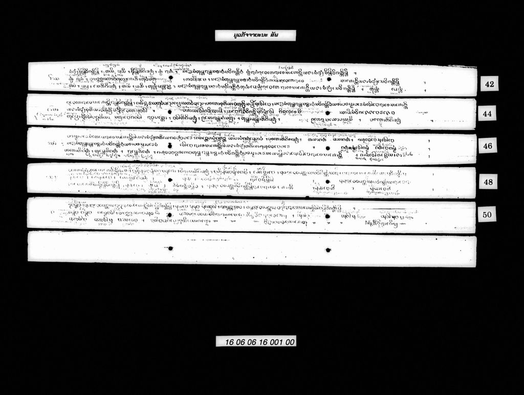 ມູລກັຈຈາຍະນະ (ສັພ)