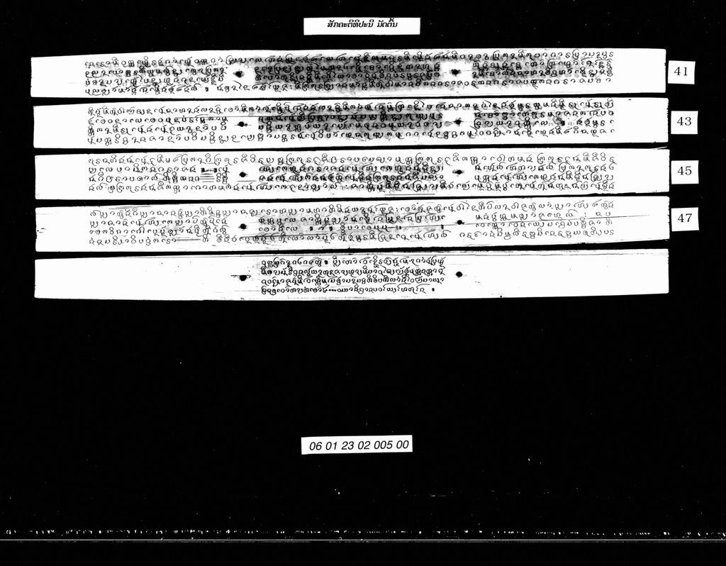 ສັກຄະຕິທິປະນີ (ມັດຕົ້ນ)