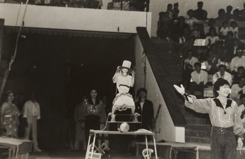 ການ​ສະ​ແດງ​ລະ​ຄອນ​ສັດ