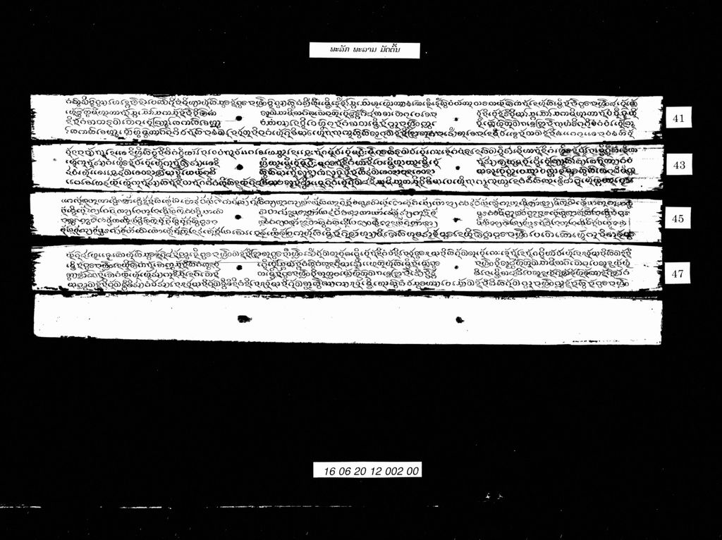 ພະລັກພະລາມ (ມັດຕົ້ນ)