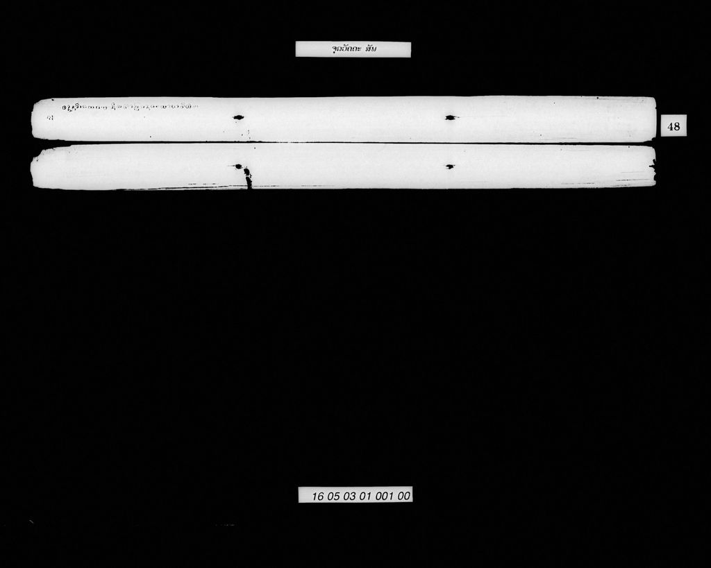 ຈຸລວັຄຄະ (ສັພ)