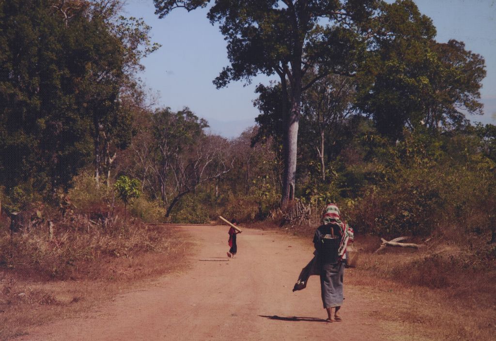 ປະ​ຊາ​ຊົນ​ກັບ​ບ້ານ ແຂວງ​ຫຼວງ​ພະ​ບາງ