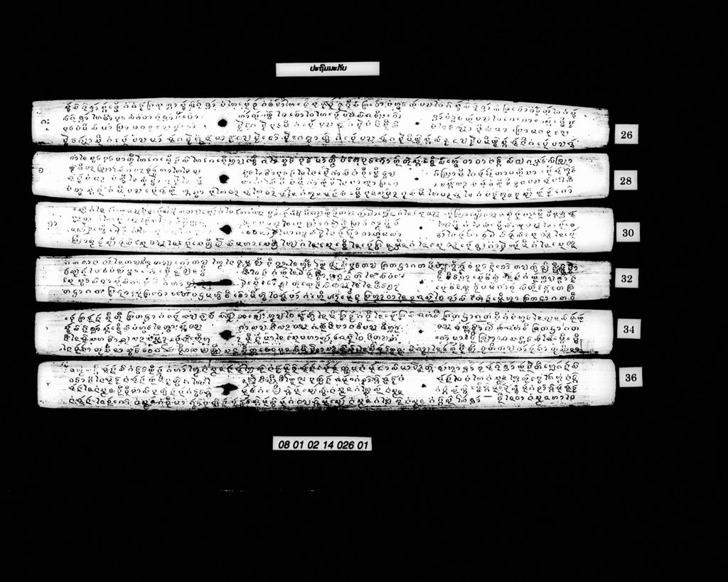 ປະຖົມມະກັບ