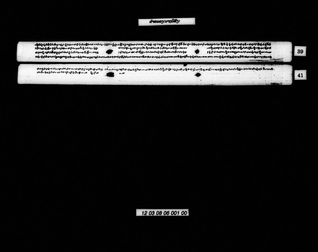 ລຳສລອງ (ນາໆນິສົງ)