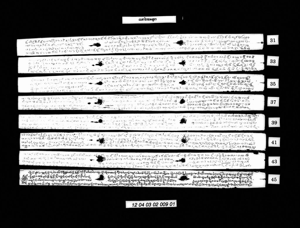 ເມຕໄຕຍະສູຕ