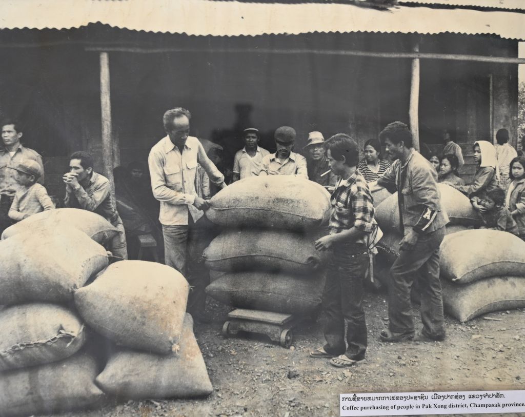 ການ​ຊື່​ຂາຍ​ໝາກ​ກາ​ເຟ​ຂອງ​ປະ​ຊາ​ຊົນ​ເມ​ືອງ​ປາກ​ຊ່ອງ​ແຂວງ​ຈຳ​ປາ​ສັກ