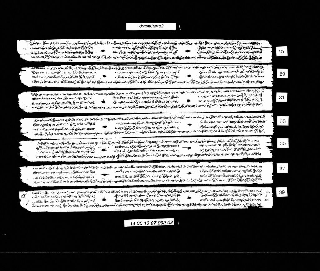 ປາແດກປາສະໝໍ