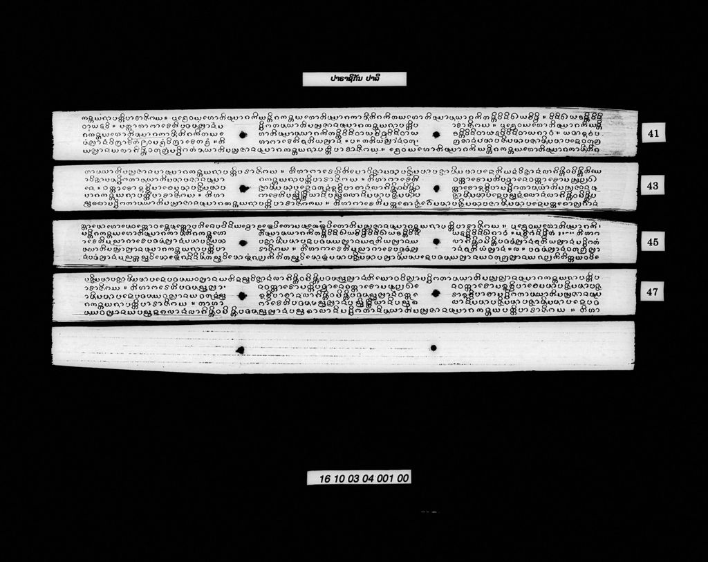 ປາຣາຊິກັນ (ປາລີ)