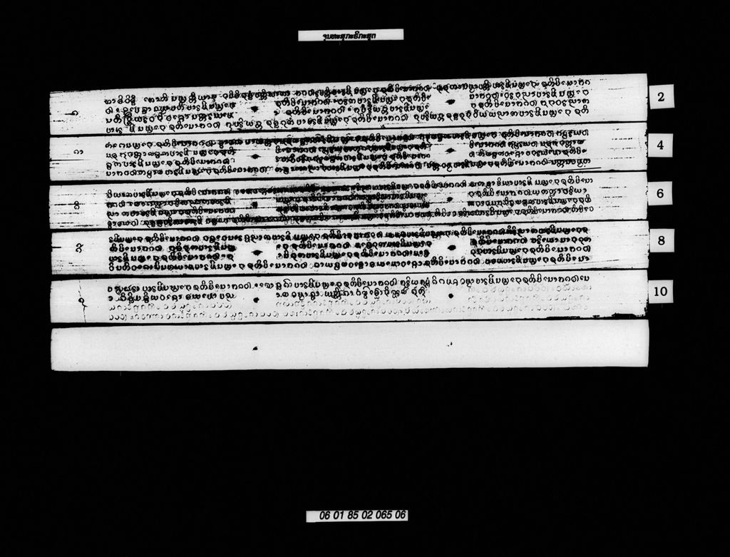 ຈຸນທະສຸກະຣິກະສູຕ