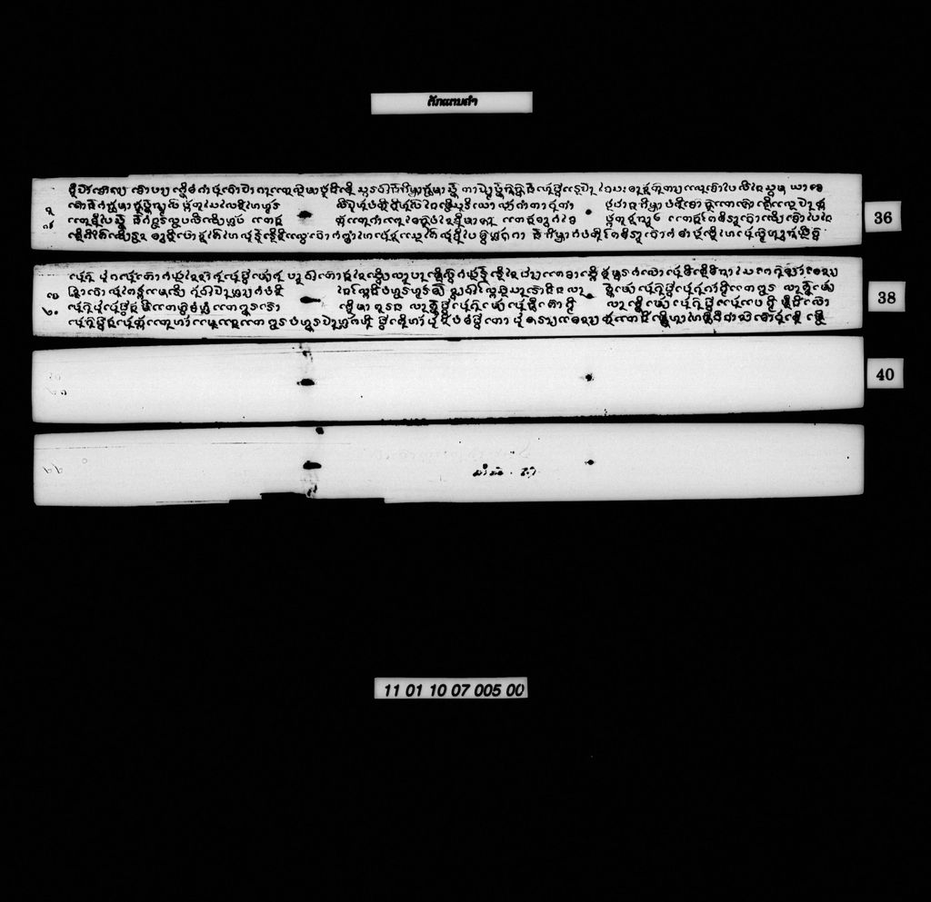 ຕັກແຕນຄຳ