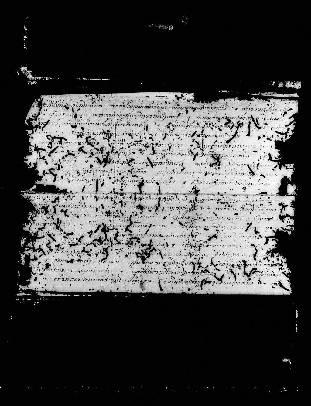 ພຣະມະນີສຸຣິວົງ (ເຫລັ້ມຫລວງພັບສາ)