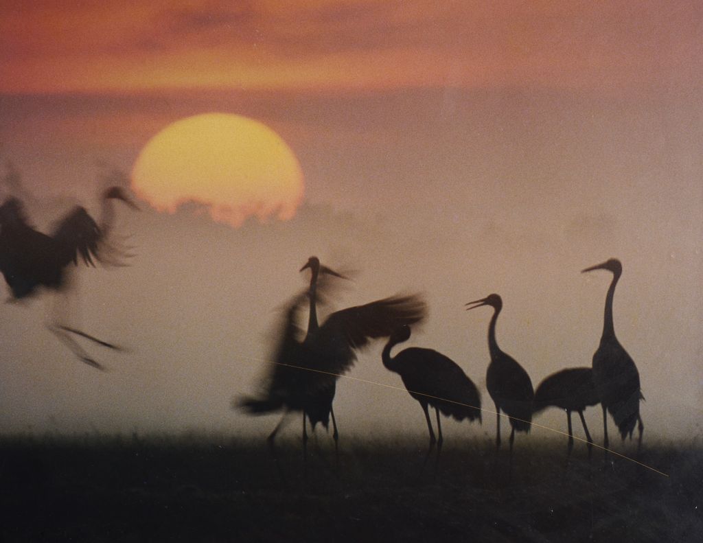 ລະ​ດູ​ບານ​ໃໝ່​ທີ​່ເຂດ​ທົ່ງ​ຮ້າງ