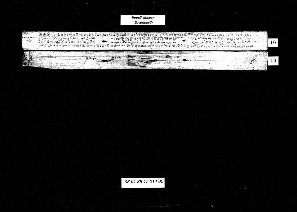 ກິນນະຣີກິນນະຣາ ປ ນິຍາຍກິນນະຣີ )