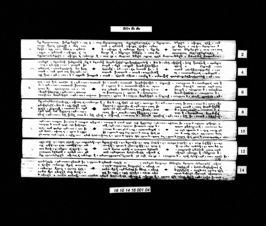 ປັດໄຈກິດ (ສັພ)