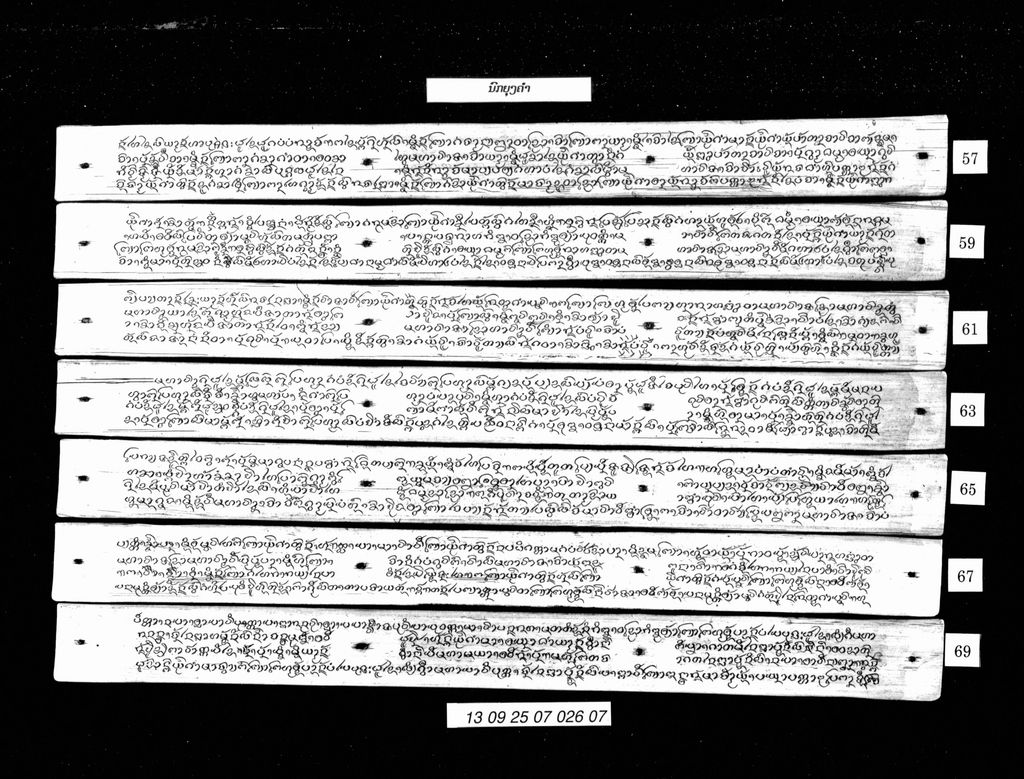 ນົກຍຸງຄຳ