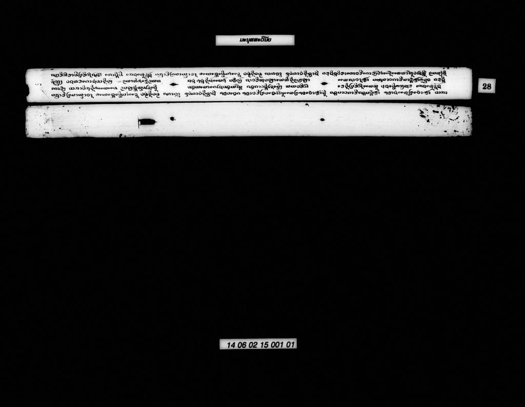 ມະນຸສສະວິນັຍ